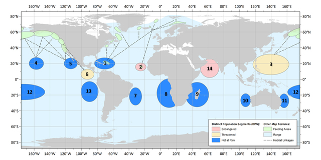 1744737_web1_DPS-locations-humpbacks.jpg