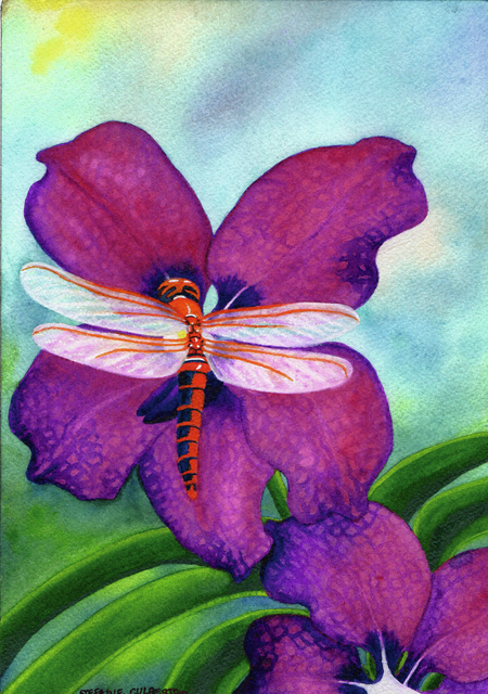 1745305_web1_orchids_and_dragonfly_tad_id_33.jpg