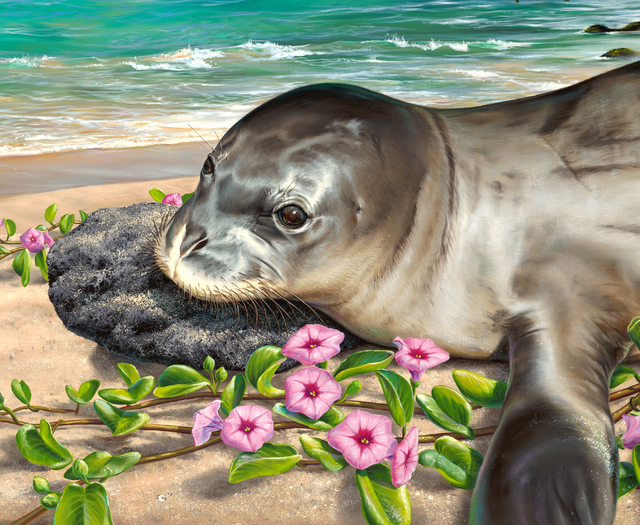 2018647_web1_Ching.Monk-Seal-giclee.jpg