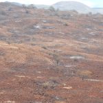 2023938_web1_Kawaihae-Fire_0032.jpg