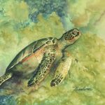 2216216_web1_Honu-NR.jpg