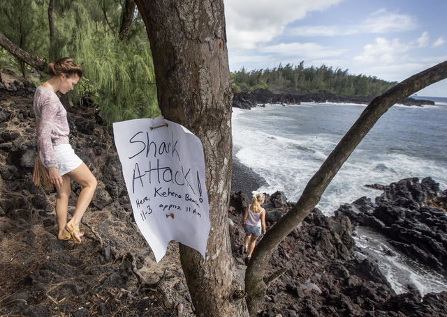 2435189_web1_Shark_Signs_at_Kehena.jpg