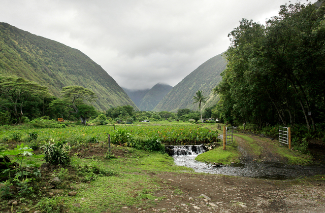 2782184_web1_Waipio_Nov_2013.jpg