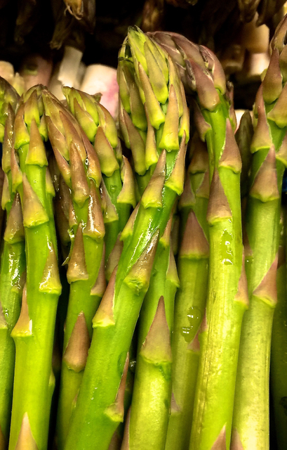 Long-lived asparagus plants can last decades - West Hawaii Today