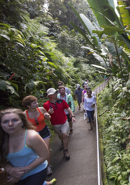 2935879_web1_Tourism_at_Akaka_Falls_2.jpg