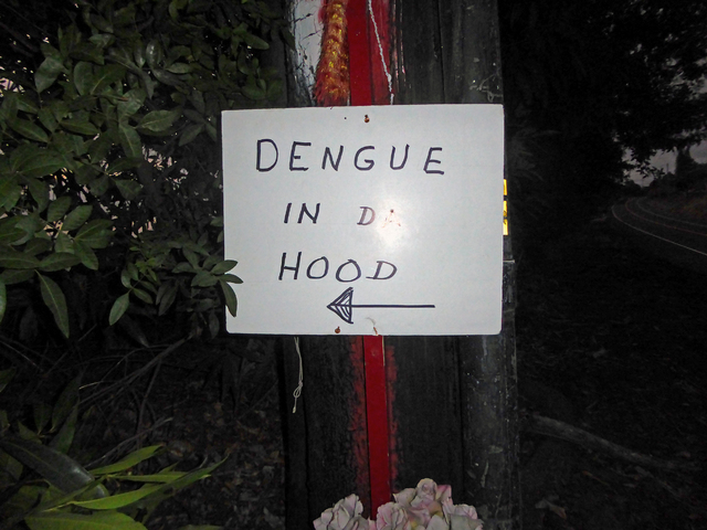 3028943_web1_dengue-Pyne.jpg