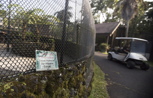 3038463_web1_Alligator_Cage_at_Zoo_1.jpg