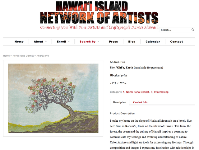 3048991_web1_Hawaii-Island-Network-of-Artists-Featured-Artist-Page-copy.jpg