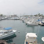 3404974_web1_Honokohau-Harbor13.jpg