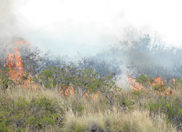 3795577_web1_Lokahi-Fire_0178.jpg