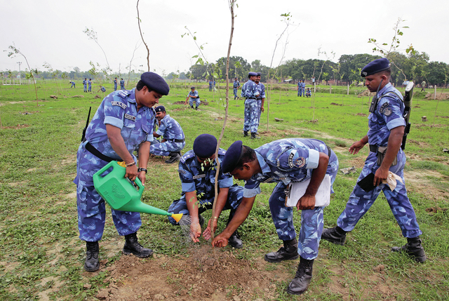 3809107_web1_India-Planting-Trees_Jens.jpg