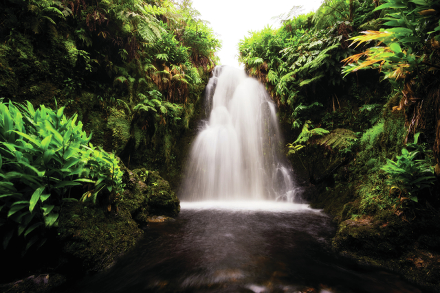 4277456_web1_Raiatea-Arcuri-A-Hidden-Waterfall.jpg