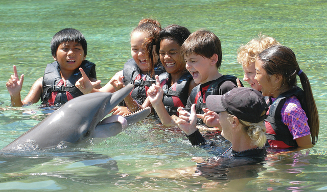 4297005_web1_Dolphin-Quest_0032.jpg