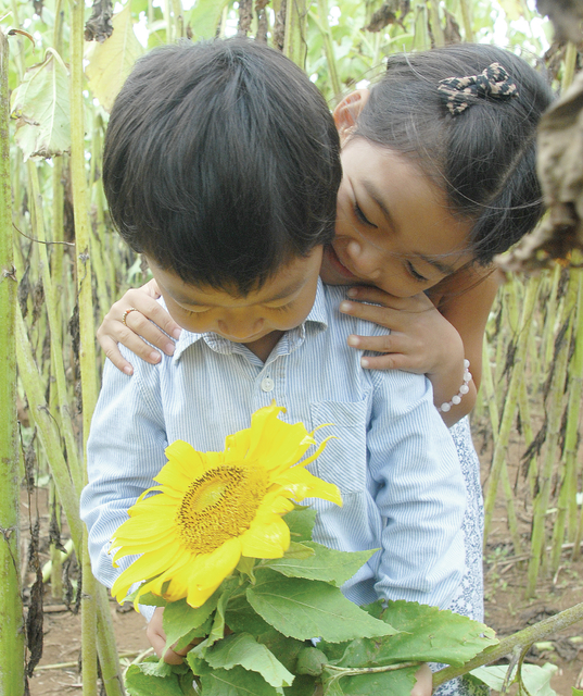 4410391_web1_Pumpkin-Patch_0020.jpg