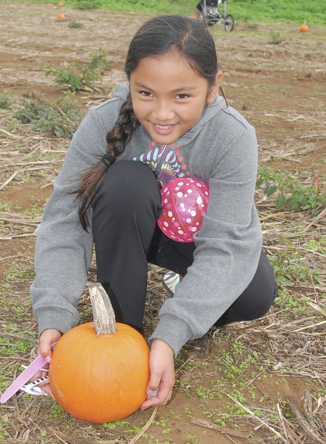 4410391_web1_Pumpkin-Patch_0026.jpg