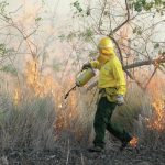 4724442_web1_Brush-Fires_0021.jpg