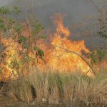 4724442_web1_Brush-Fires_0050.jpg