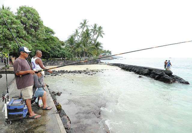 5516306_web1_Seawall-Fishing_0007.jpg