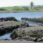 6158105_web1_Kawa-Bay_0108.jpg