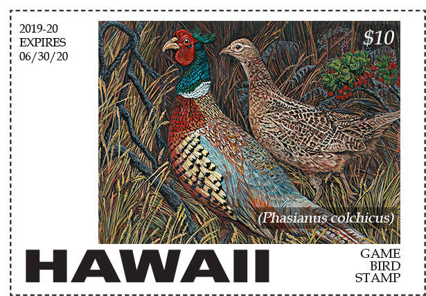 Local Big Island artist wins contest for yearâ€™s game bird stamp art