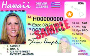 How to get your new state Gold Star ID - West Hawaii Today