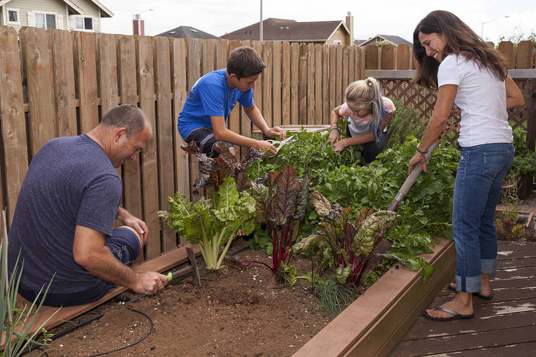 10 things you can do to improve your home garden right now | West ...