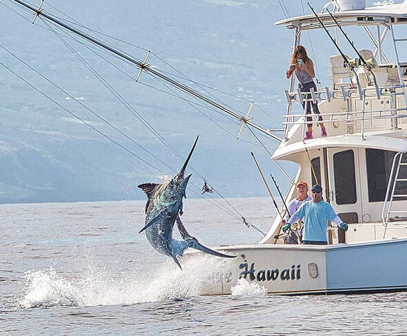 Hawaiian style fishing/Hawaii throw net fishing.big island fishing