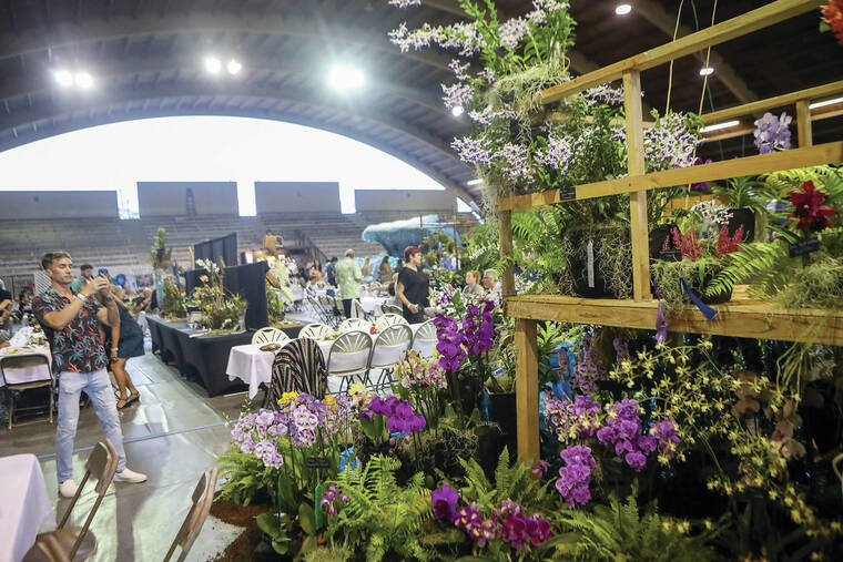 Hilo Orchid society’s annual orchid show and sale in Hilo draws crowds