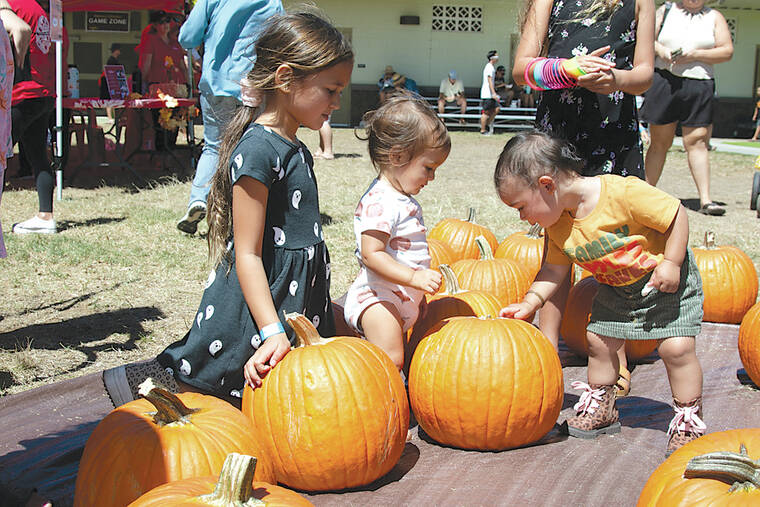 A fun day at the Waimea Fall Festival West Hawaii Today