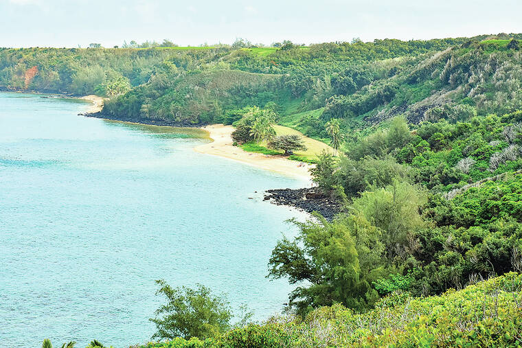 Mark Zuckerbergs Hawaii Compound Includes A 5000 Sq Ft Underground Shelter West Hawaii Today