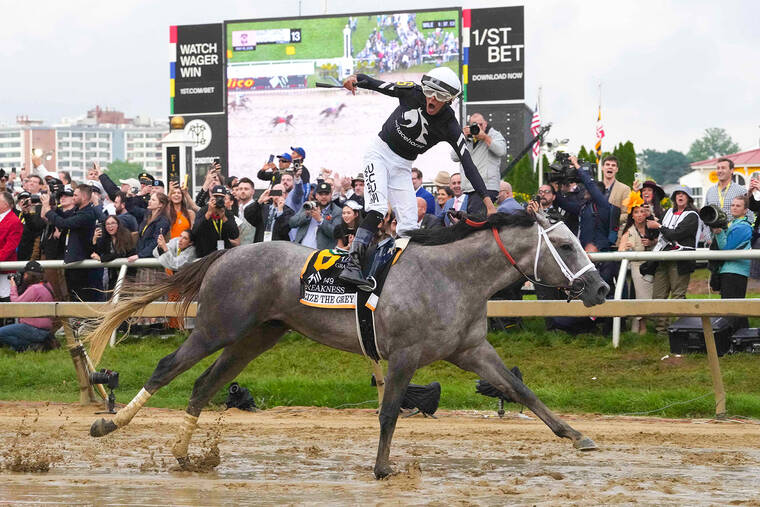 Preakness 2024 Seize the Grey goes wiretowire, outruns Mystik Dan in