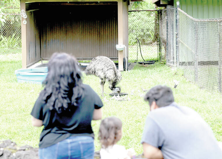 Don’t feed the animals – West Hawaii Today